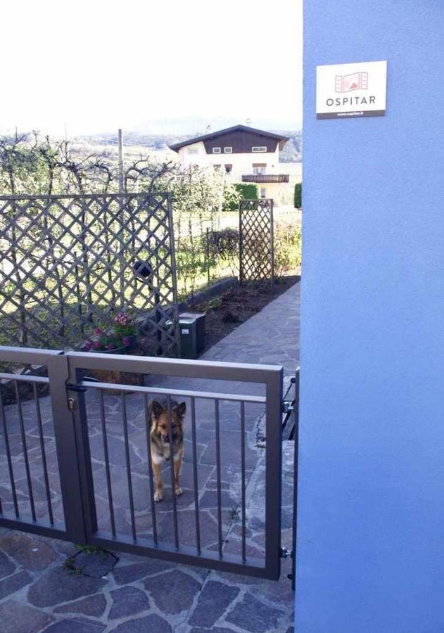 Ferienwohnung Casa Del Tempo Rosa Tassullo Ospitar Exterior foto